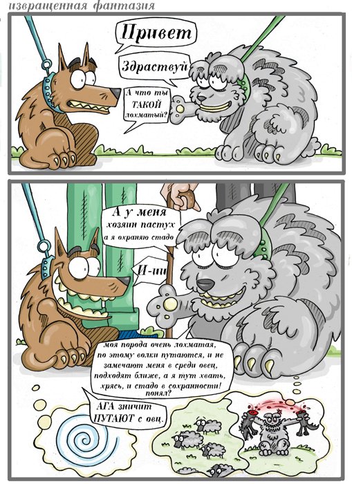 Страница 17
